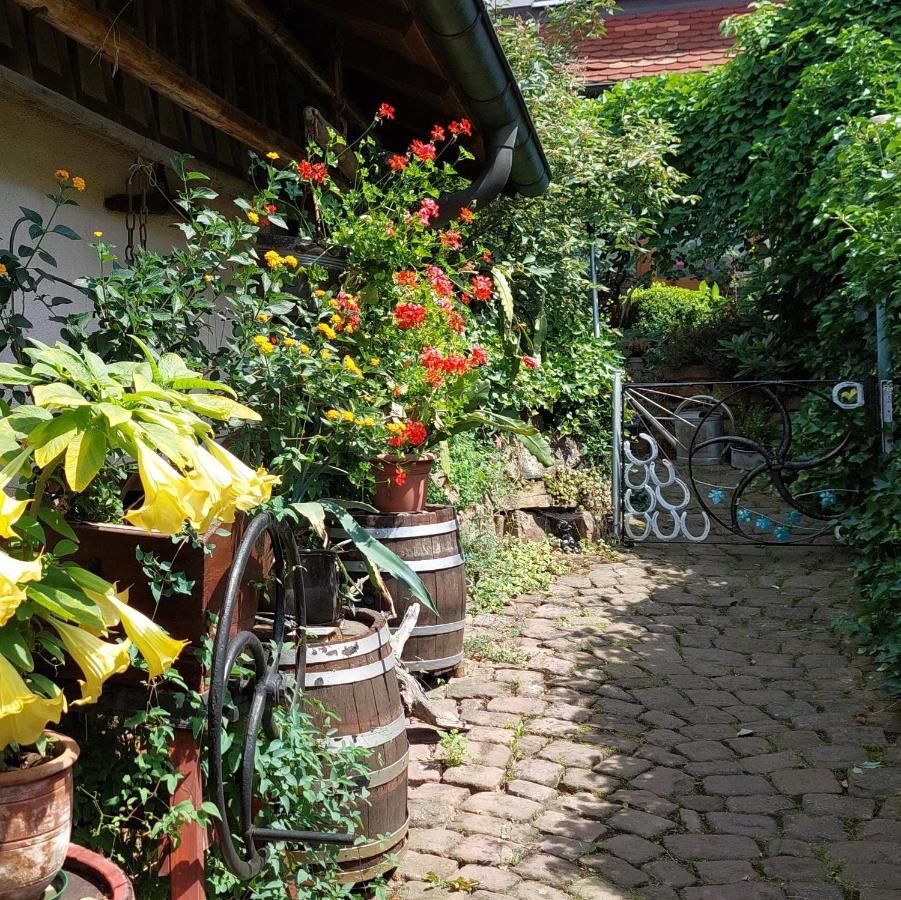 Beim Schlafwandler Apartman Karlsbad Kültér fotó